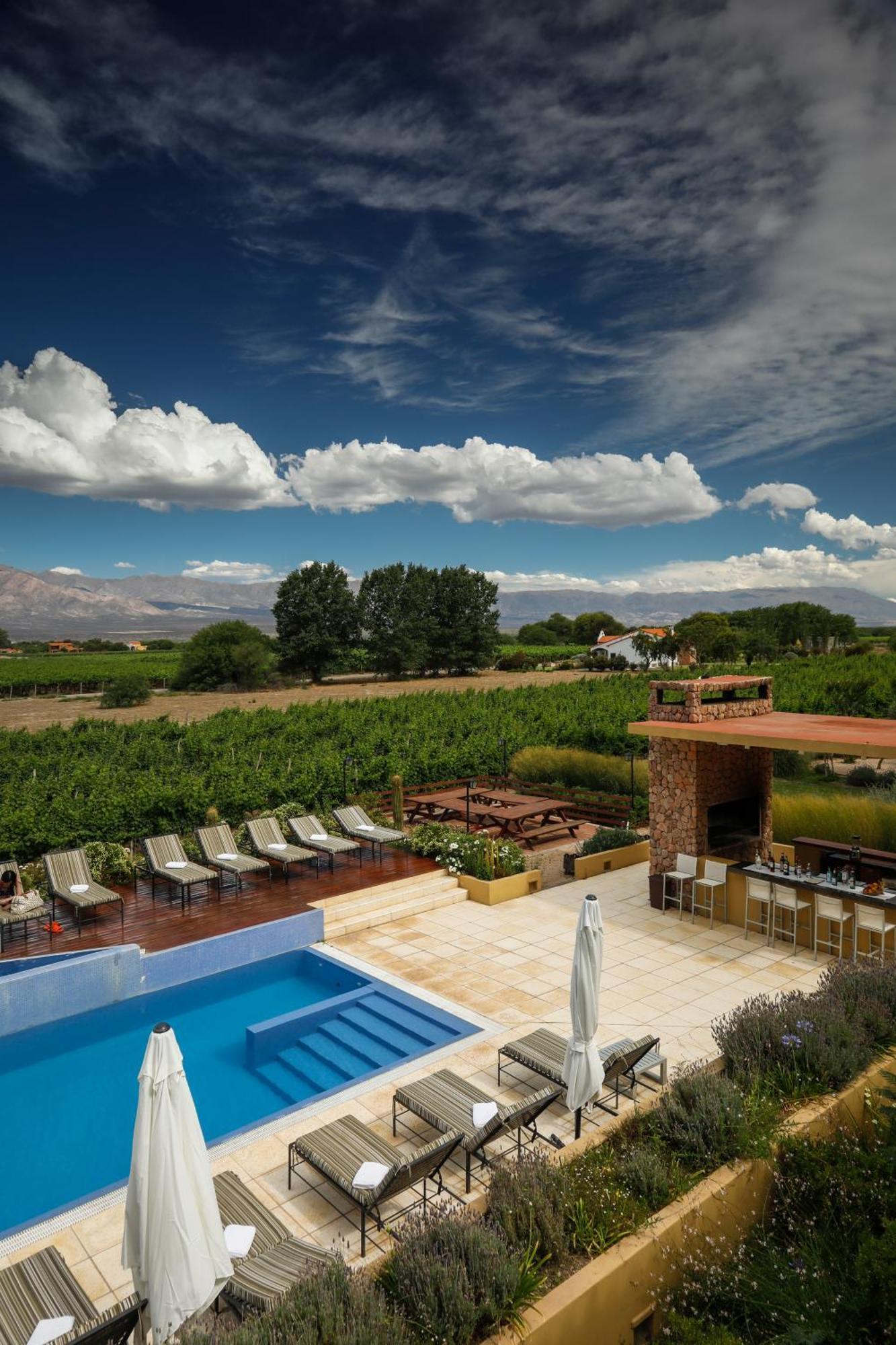 Grace Cafayate Ξενοδοχείο Εξωτερικό φωτογραφία A vineyard in the Uco Valley